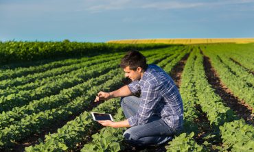 Imagem de O papel das cooperativas em levar tecnologias para os agricultores